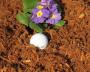 MULCH SHREDDED CYPRESS 2CUFT