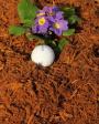 SHREDDED CEDAR MULCH 2CUFT