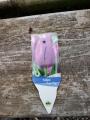 TULIP PURPLE FLAG #1