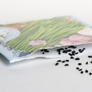 PACKAGED SEEDS