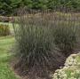 BIG BLUESTEM BLACKHAWKS #1