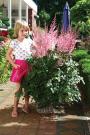ASTILBE MIGHTY PIP #2