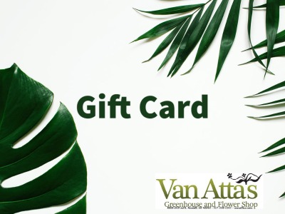 E-GIFT CARD