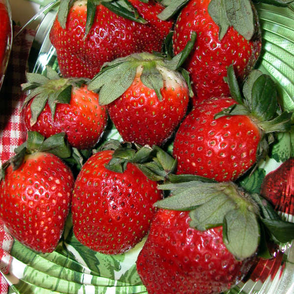 STRAWBERRY OZARK BTY #1