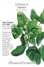 Spinach Lavewa