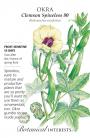 OKRA CLEMSON SPINELESS
