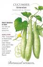 CUCUMBER ARMANIAN